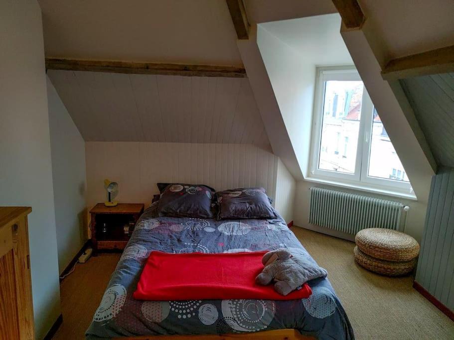 Maison Conviviale Aux Abords De La Vieille Ville 滨海布洛涅 外观 照片